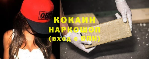 индика Аркадак