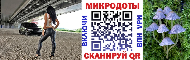 Галлюциногенные грибы прущие грибы Купить где Белово